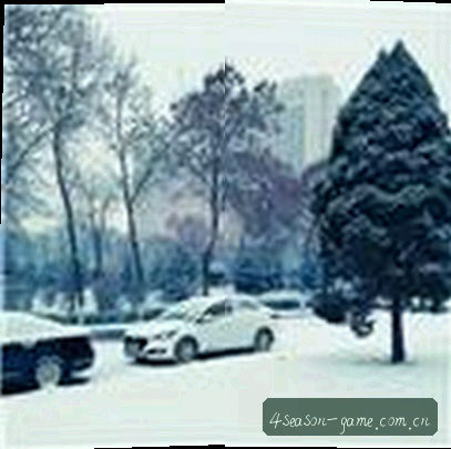 杨明